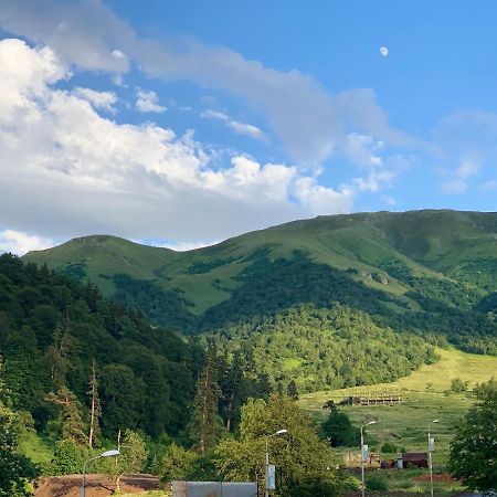 Bakuriani The Valley 115 - 202 Екстер'єр фото