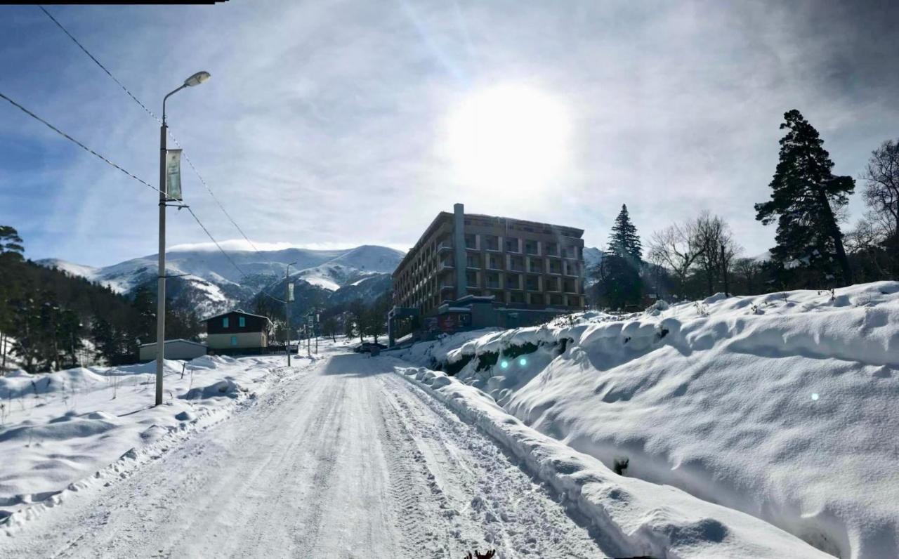 Bakuriani The Valley 115 - 202 Екстер'єр фото